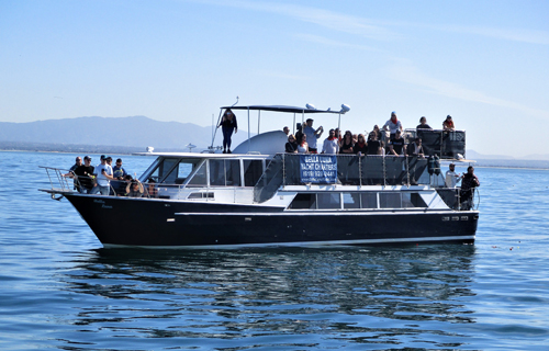 Bella Luna Yacht for Funeral at Sea Services yacht